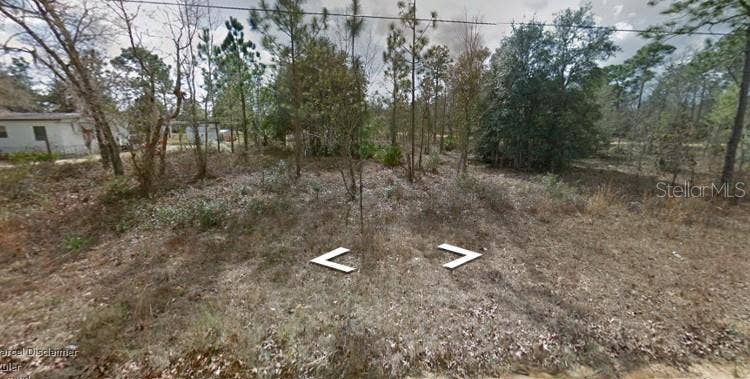 LIMA ST, Interlachen, FL 32148