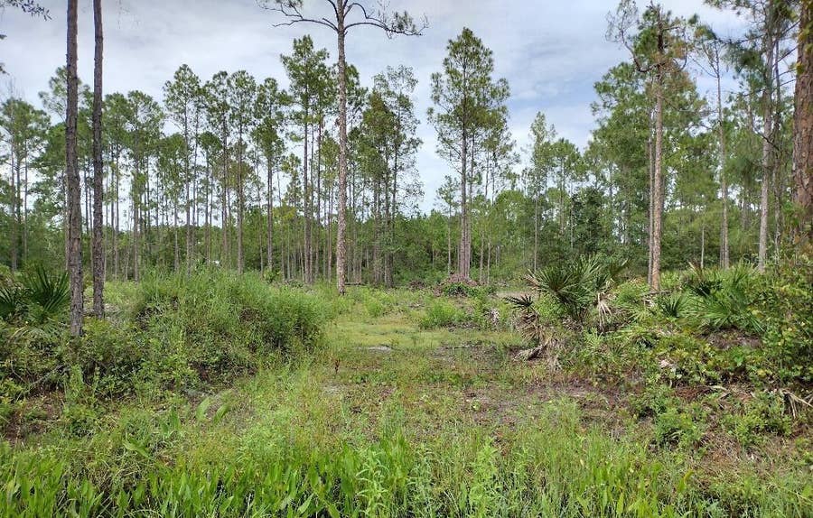 Property photo for 5814 MAHOGANY BOULEVARD, Bunnell, FL