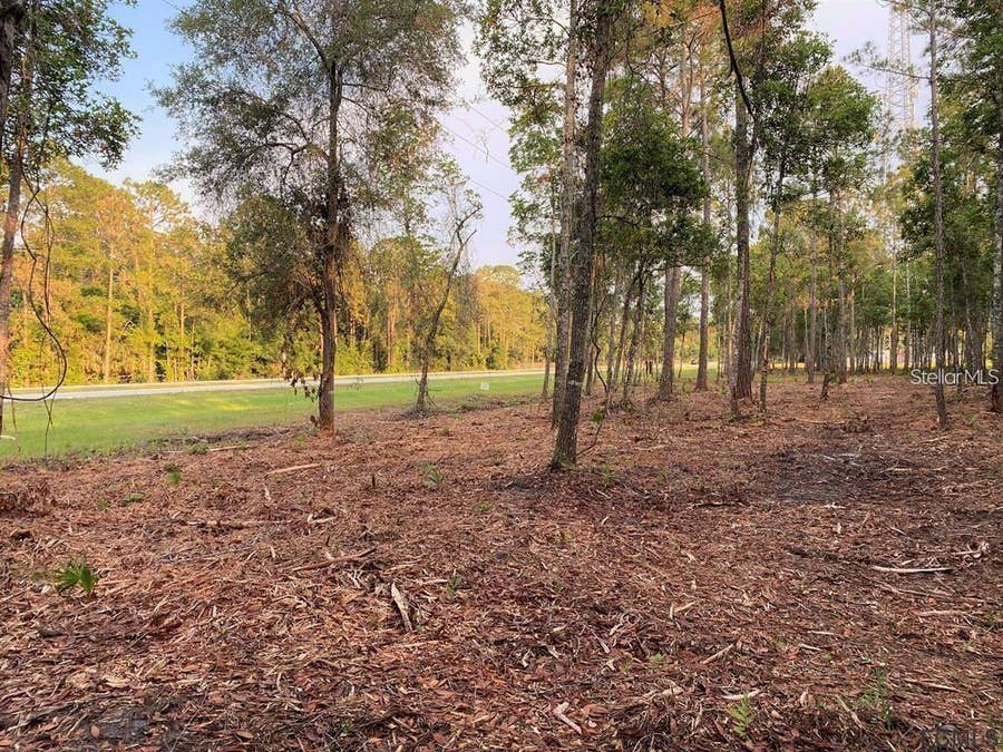 Property photo for 53XX US HWY 1 N, Bunnell, FL
