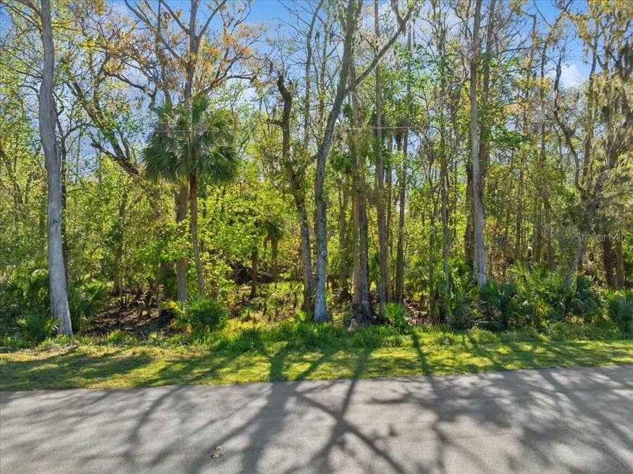 Property photo for 138 BLARE DRIVE, Palm Coast, FL