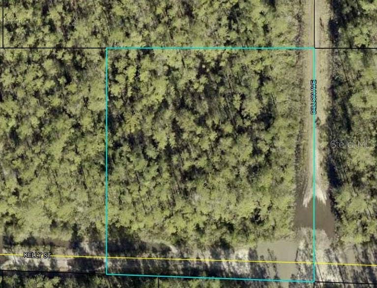 Property photo for 000 KELLY STREET, Hastings, FL