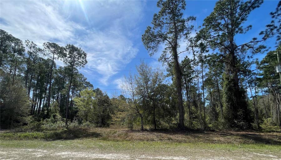 Property photo for 103 ROSEWOOD STREET, Georgetown, FL