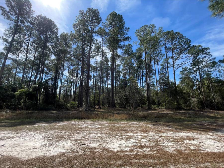 Property photo for 105 ROSEWOOD STREET, Georgetown, FL