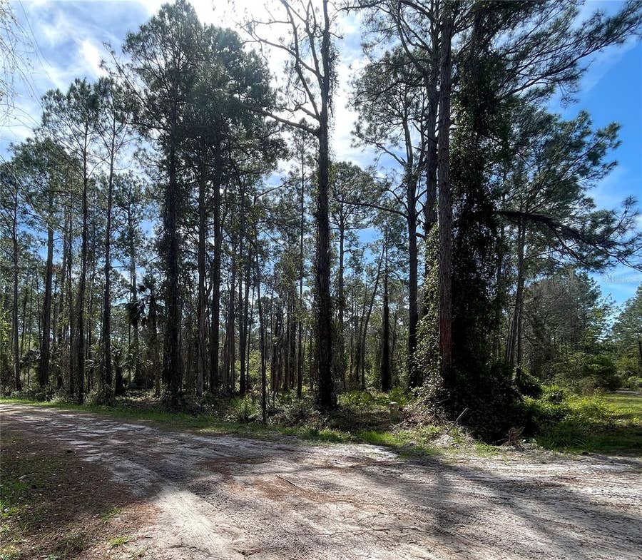 Property photo for 107 ROSEWOOD STREET, Georgetown, FL