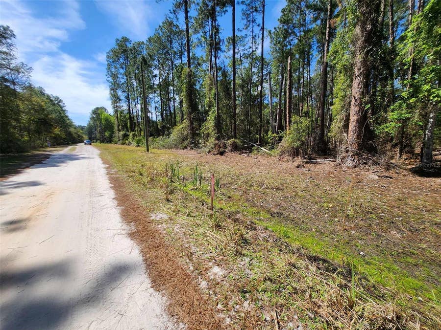 Property photo for 116 MOSSWOOD STREET, Georgetown, FL