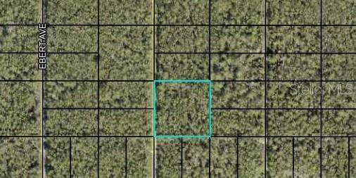 Property photo for 000 DILLON AVENUE, Hastings, FL