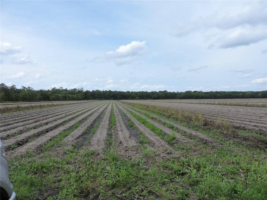 Property photo for COUNTY ROAD 108 ROAD, Bunnell, FL