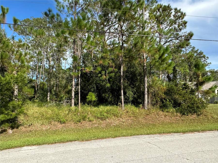 Property photo for 85 PRESIDENTIAL LANE, Palm Coast, FL