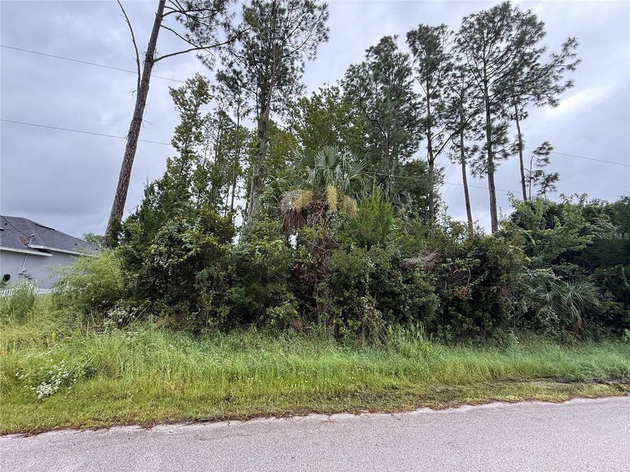 Property photo for 124 FENIMORE LANE, Palm Coast, FL