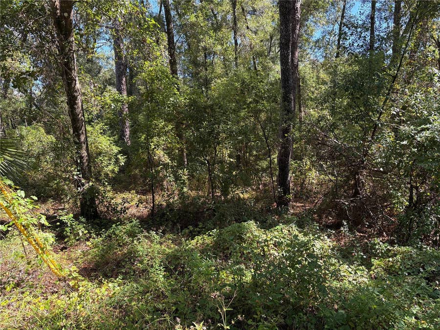 Property photo for 1228 CLOVER TERRACE, Inverness, FL