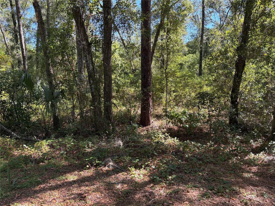 Property photo for 1222 CLOVER TERRACE, Inverness, FL