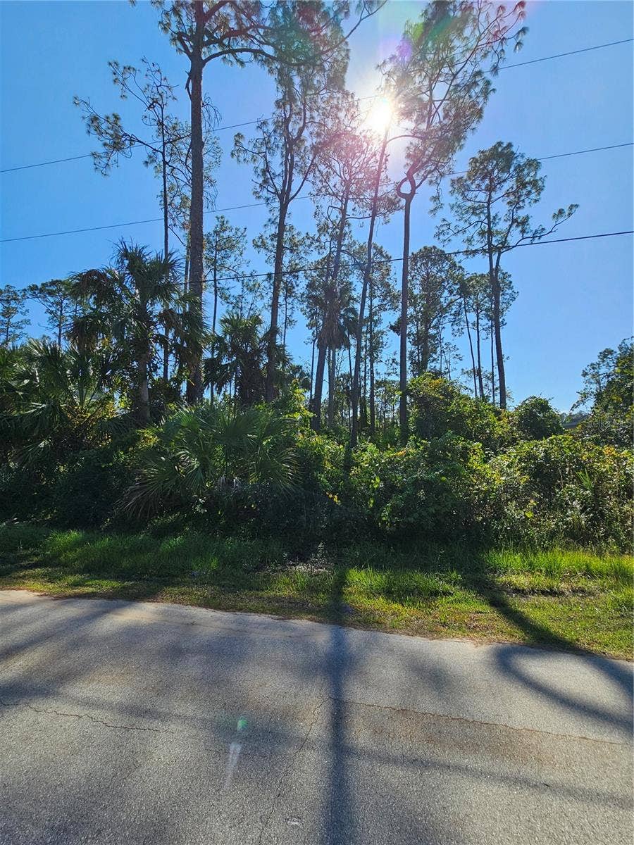 Property photo for 6 POINDEXTER LANE, Palm Coast, FL