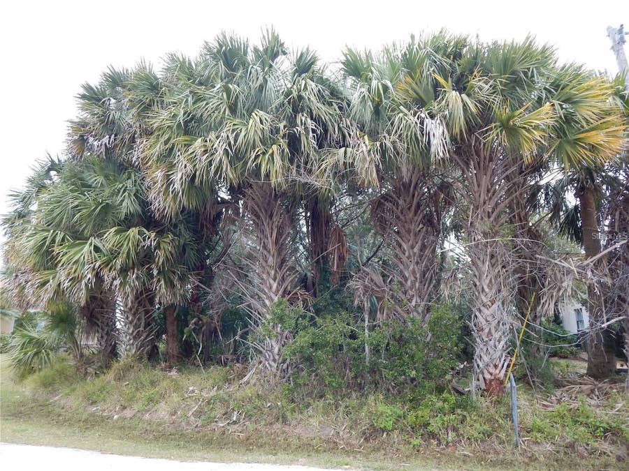 Property photo for 8 COLLINGVILLE COURT, Palm Coast, FL