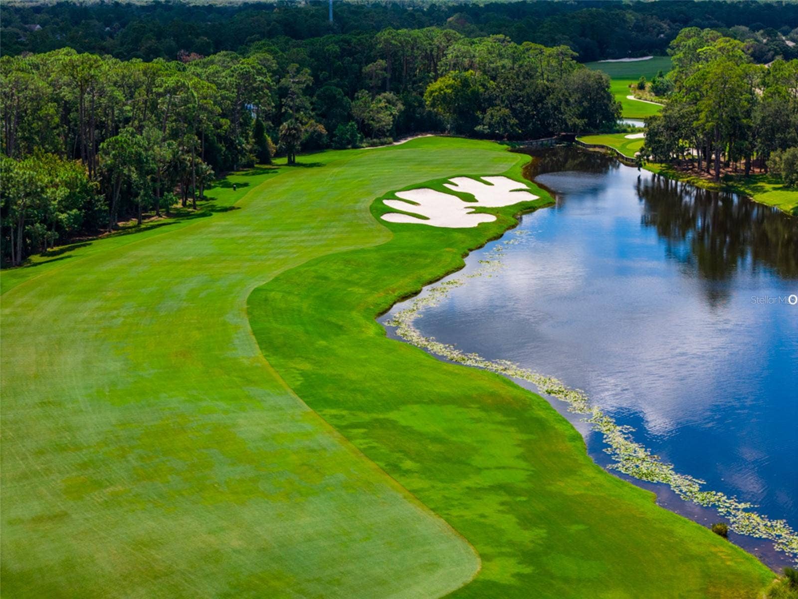 3 NEWHAVEN LANE, Ormond Beach, FL 32174 Picture perfect fairway