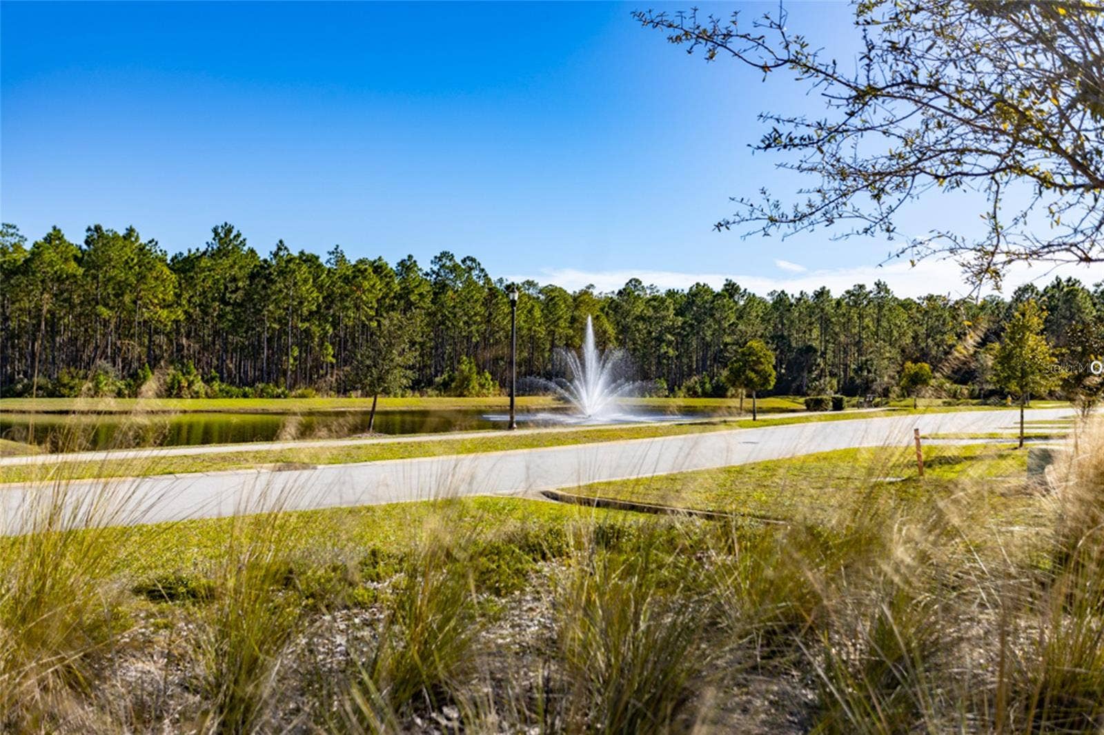 3 NEWHAVEN LANE, Ormond Beach, FL 32174 Peaceful view from your lanai