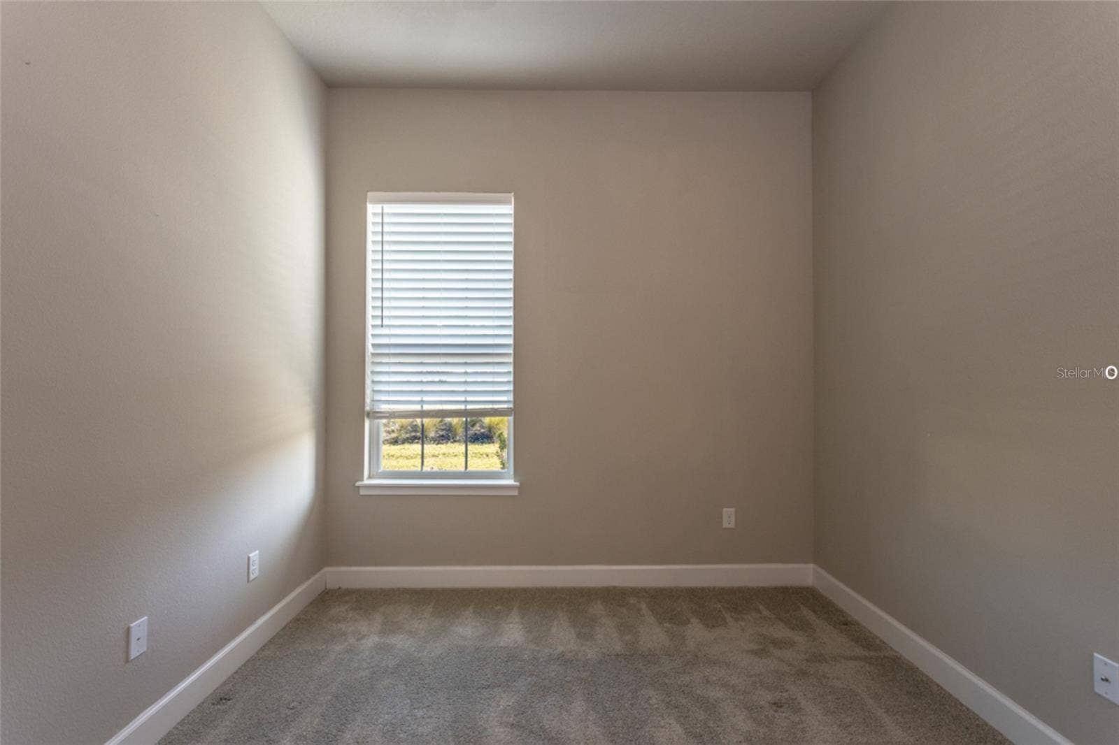 3 NEWHAVEN LANE, Ormond Beach, FL 32174 Plush carpeting in secondary bedroom