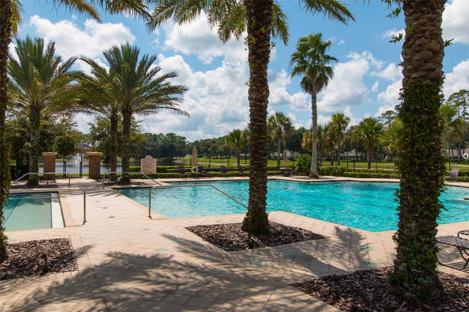 3 NEWHAVEN LANE, Ormond Beach, FL 32174 Swim some laps