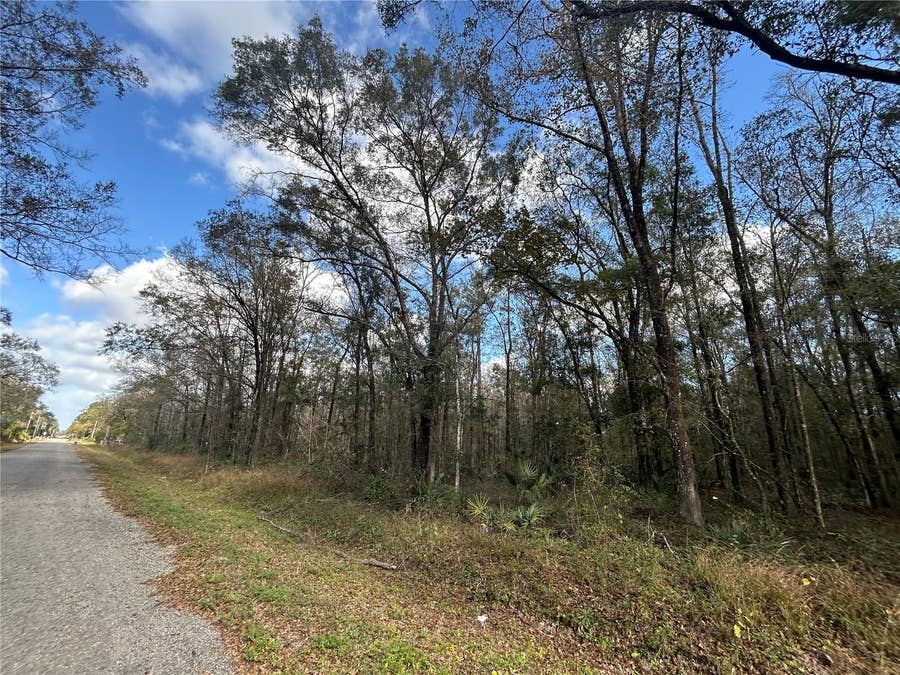 Property photo for 10040 MCMAHON AVENUE, Hastings, FL