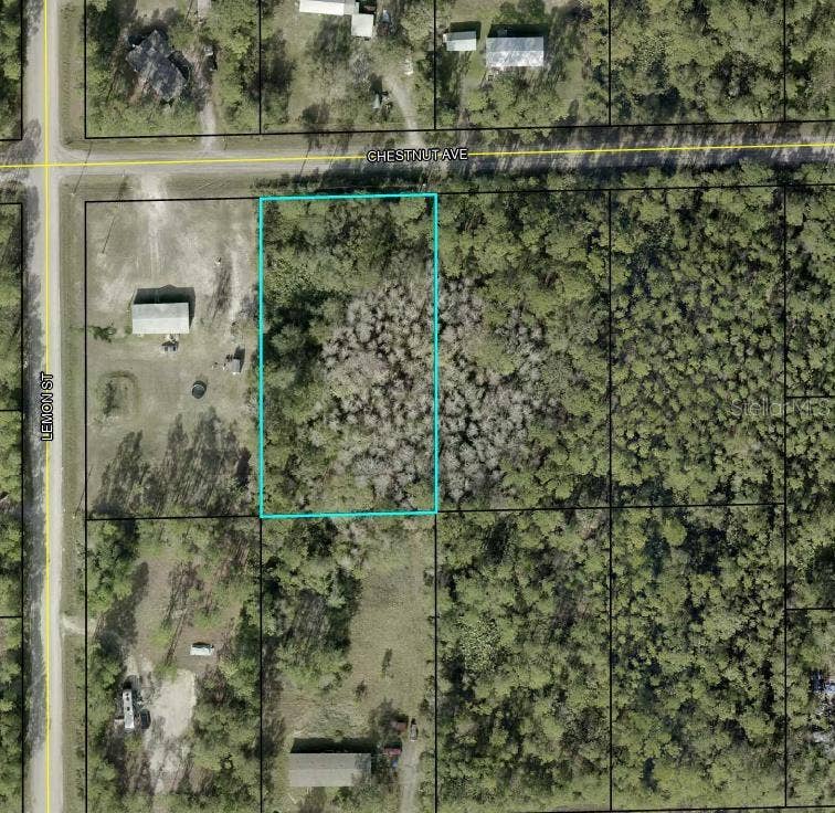 Property photo for 5603 CHESTNUT AVENUE, Bunnell, FL