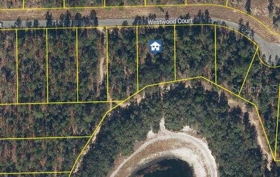 Property photo for 115 WESTWOOD COURT, Interlachen, FL