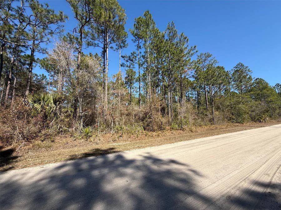Property photo for 4664 CLOVE AVENUE, Bunnell, FL