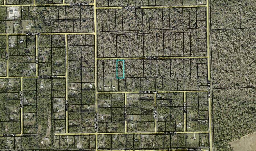 Property photo for 3853 APPLE AVENUE, Bunnell, FL