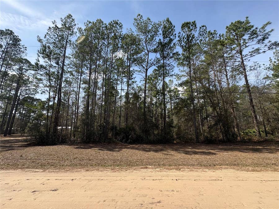Property photo for 4385 BONDARENKO ROAD, Keystone Heights, FL