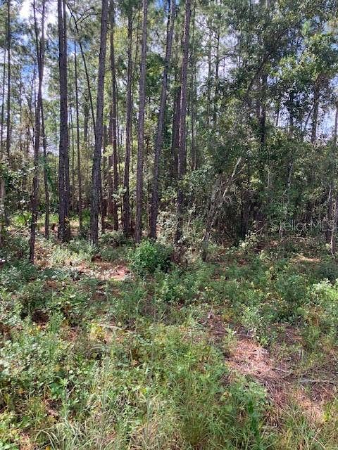 Property photo for 4515 MAHOGANY BOULEVARD, Bunnell, FL
