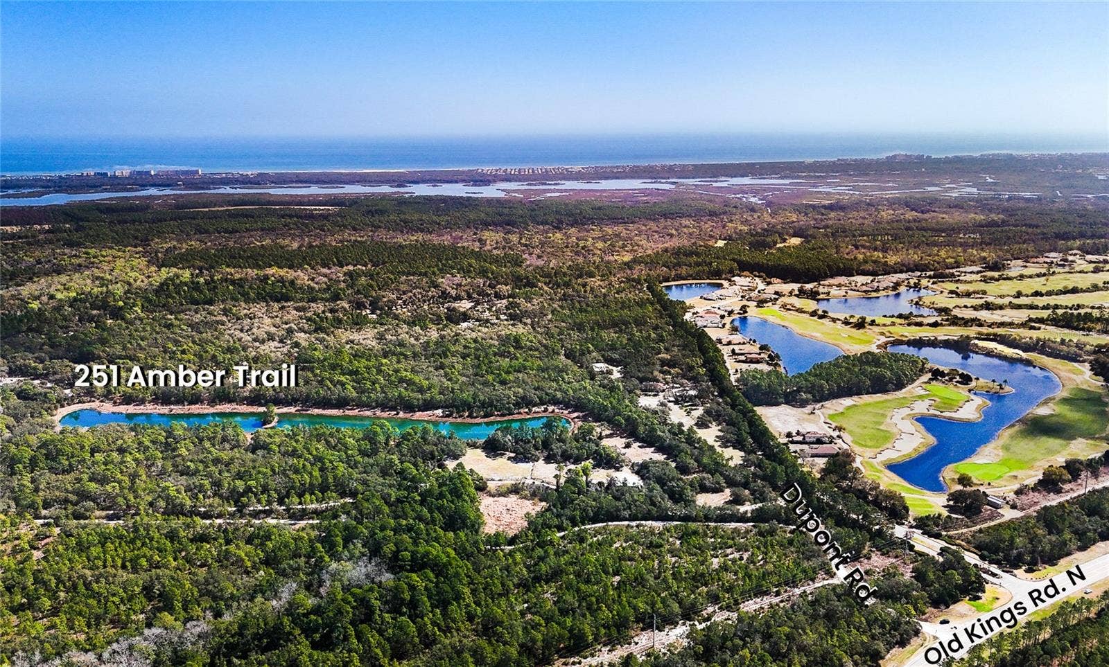 251 AMBER TRAIL, Palm Coast, FL 32137 251 AMBER TRAIL, Palm Coast, FL 32137