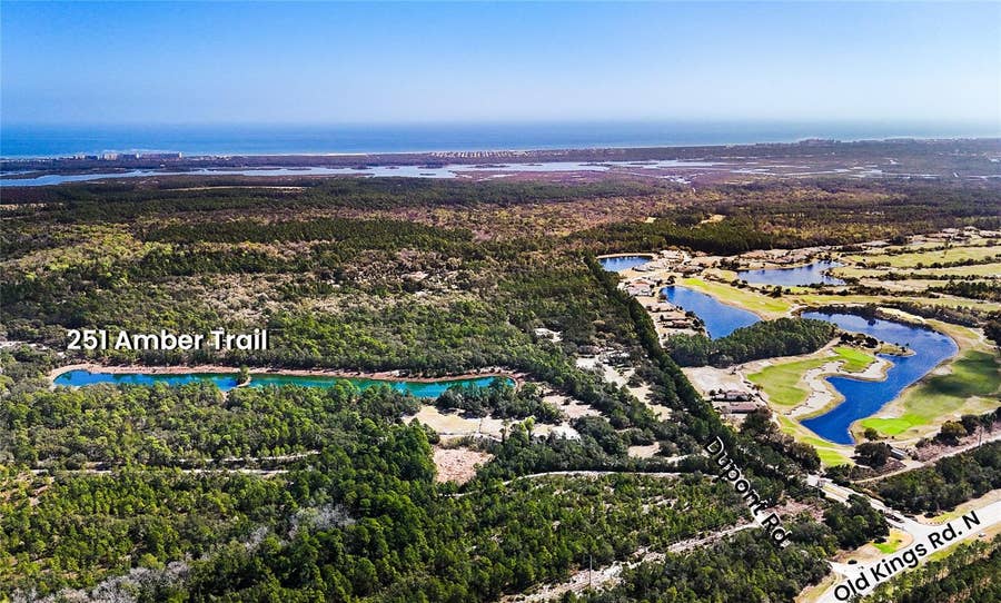 Property photo for 251 AMBER TRAIL, Palm Coast, FL