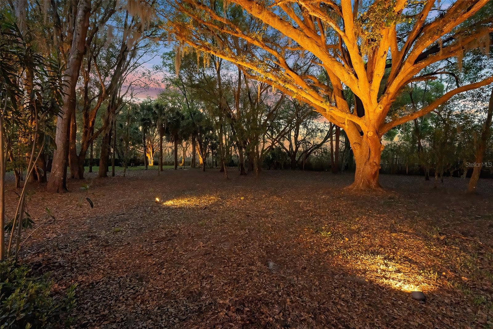 7341 BELLA FORESTA PLACE, Sanford, FL 32771 Twilight Backyard