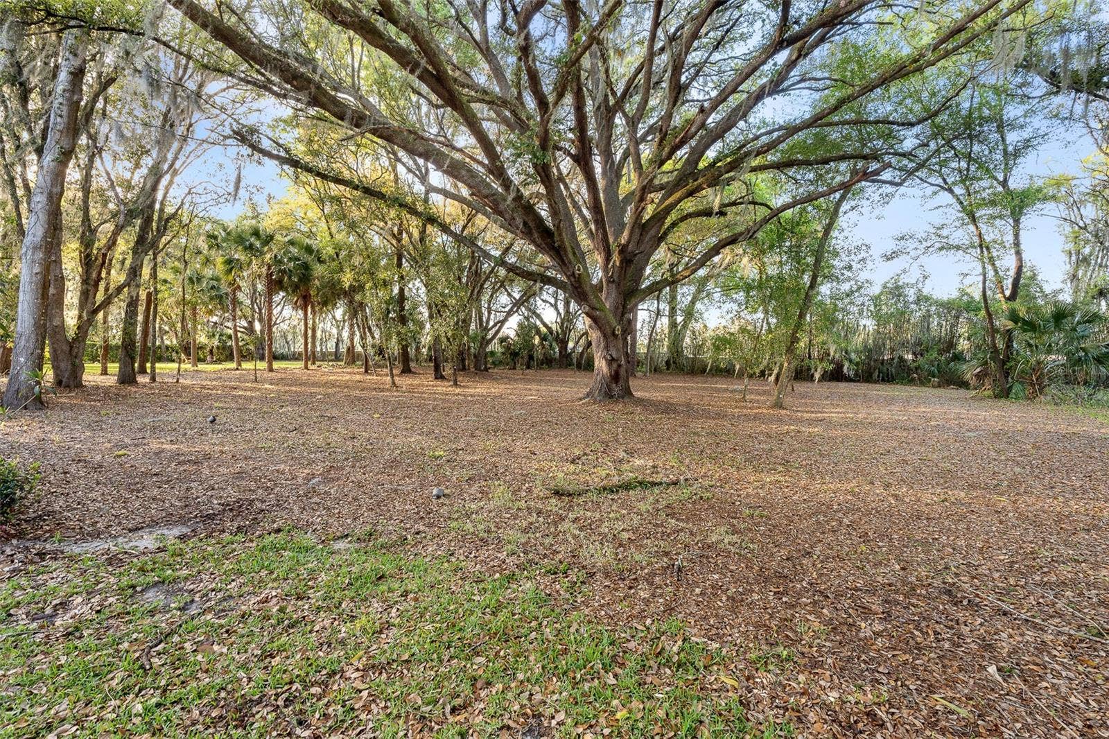 7341 BELLA FORESTA PLACE, Sanford, FL 32771 Huge 1-Acre Lot