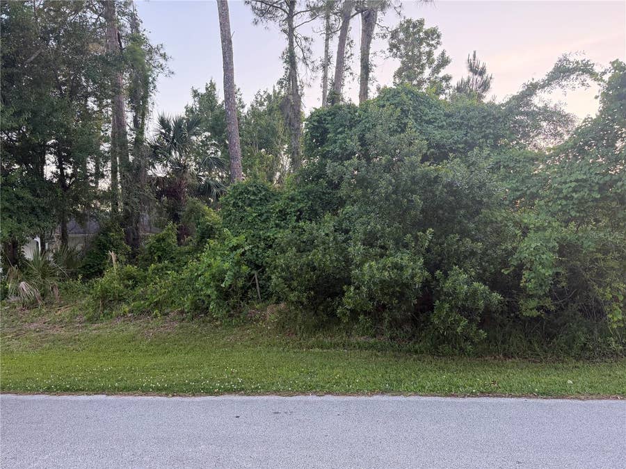 Property photo for 41 WOODLYN LANE, Palm Coast, FL
