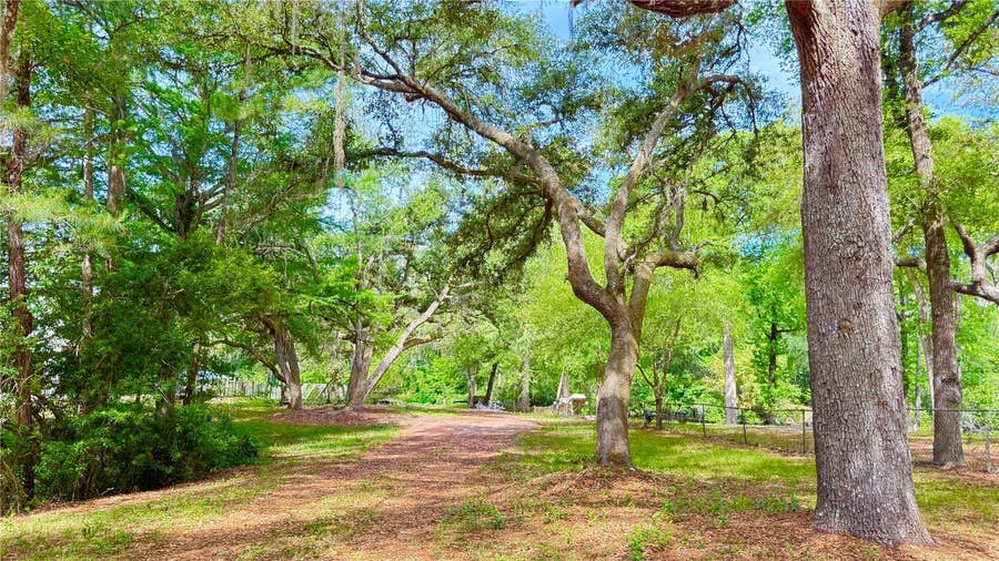 Property photo for 2905 CREEK STREET, Middleburg, FL