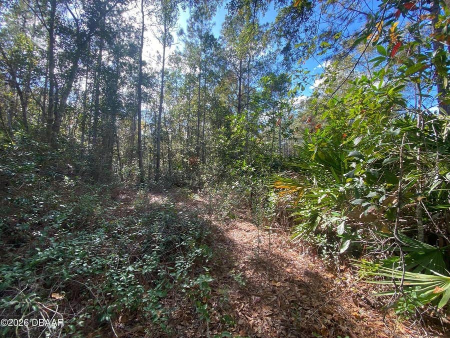 Property photo for 820 OLD BUBBLY ROAD, Pierson, FL