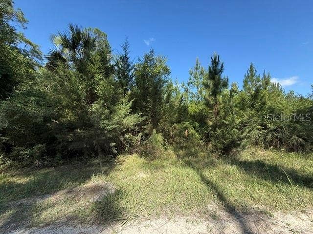 Property photo for COUNTY ROAD 75, Bunnell, FL