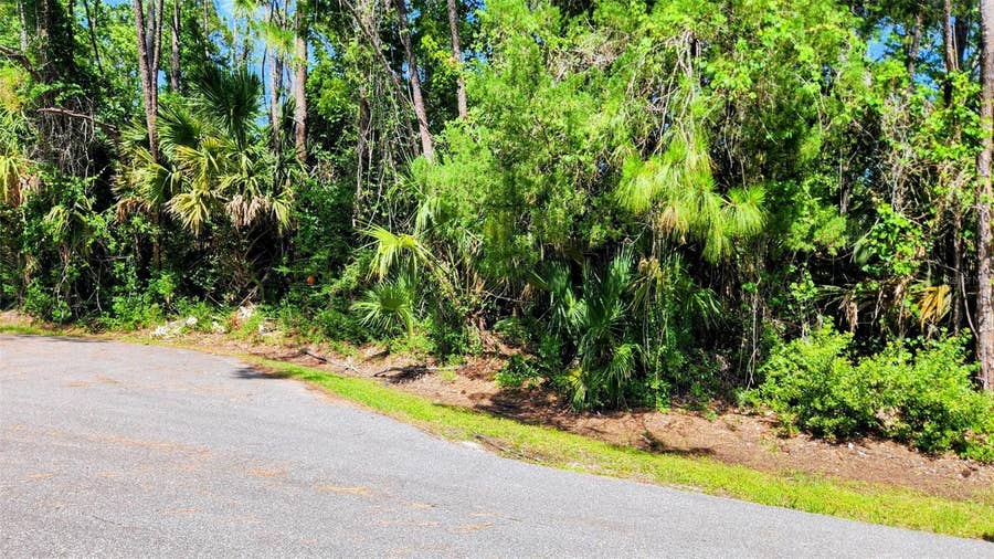 Property photo for 6 RYBAR PLACE, Palm Coast, FL