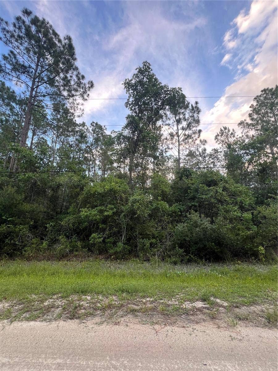 Property photo for 1411 ELDER STREET, Bunnell, FL