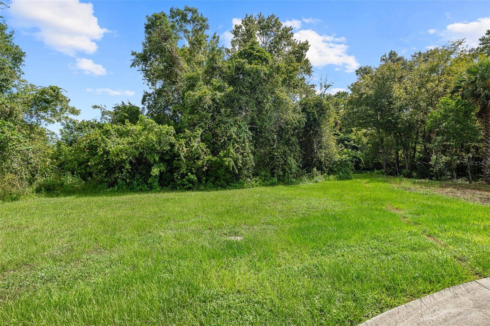 1082 YAUPON STREET, Daytona Beach, FL 32117 Welcome to 1082 Yaupon Street!