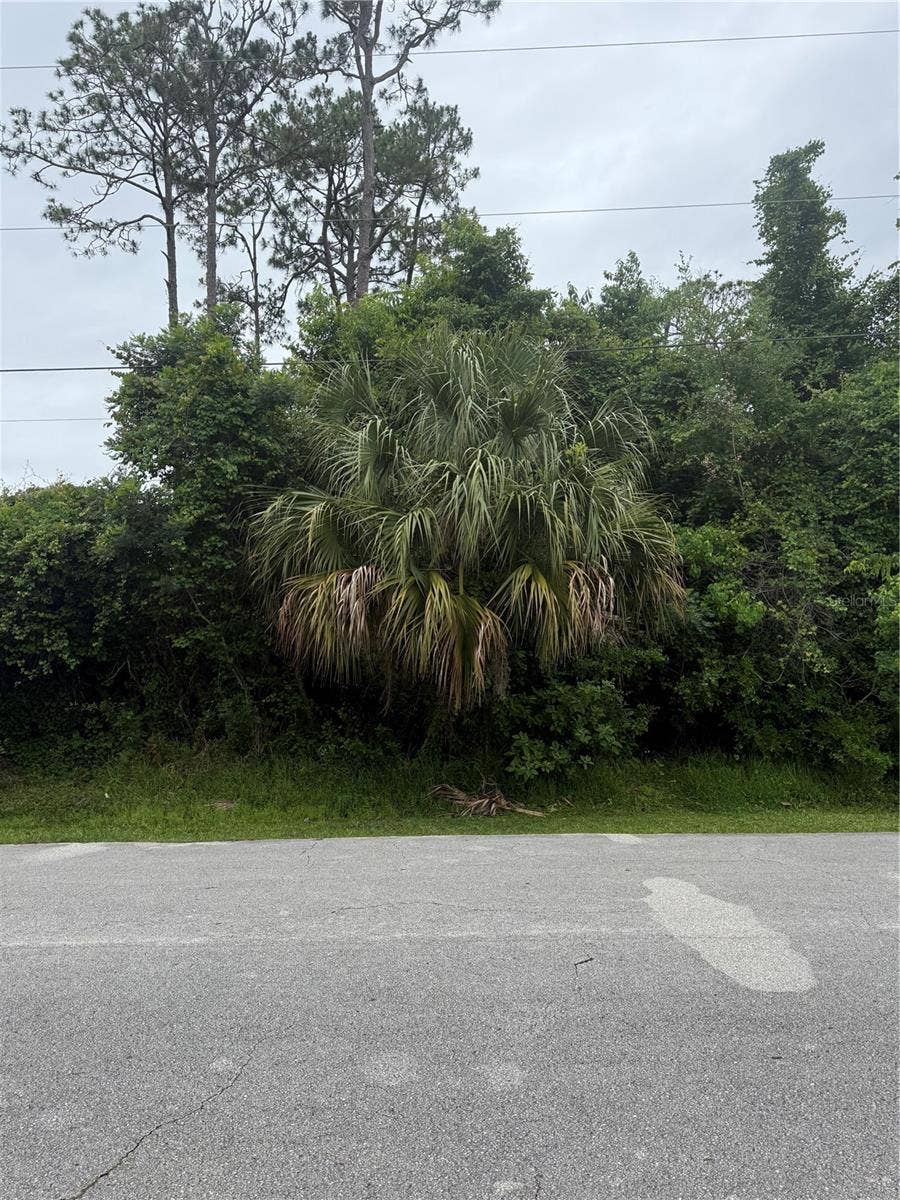 Property photo for 38 SQUASH BLOSSOM TRAIL, Palm Coast, FL