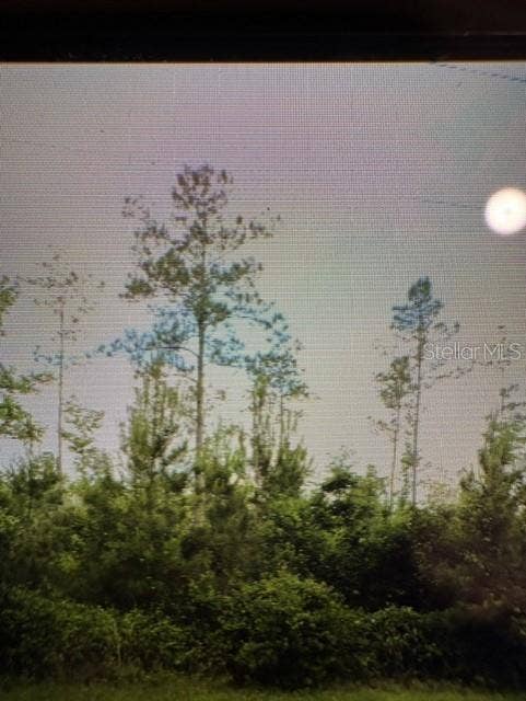 Property photo for COUNTY ROAD 305, Bunnell, FL