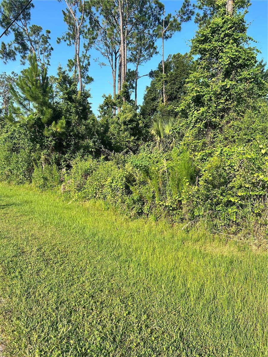 Property photo for 6 RYBERRY DRIVE, Palm Coast, FL