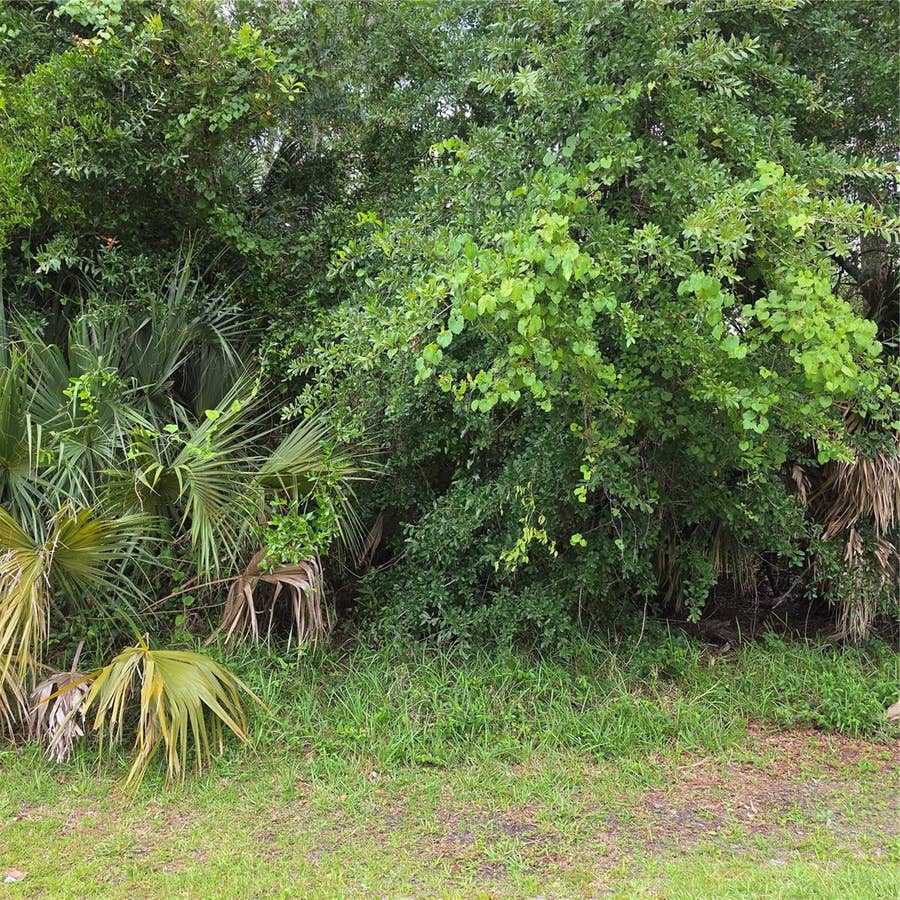 Property photo for 19 WASSERMAN DRIVE, Palm Coast, FL