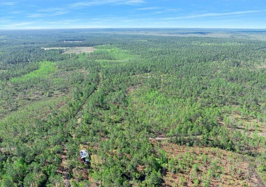 Property photo for 0 CARTER STREET, Bunnell, FL