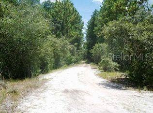 Property photo for 148 ARDEN STREET, Georgetown, FL
