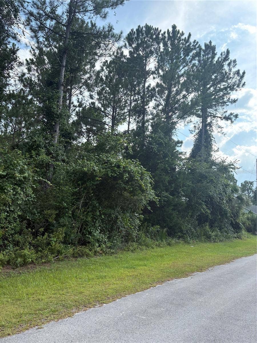 Property photo for 17 UHLERWOOD COURT, Palm Coast, FL