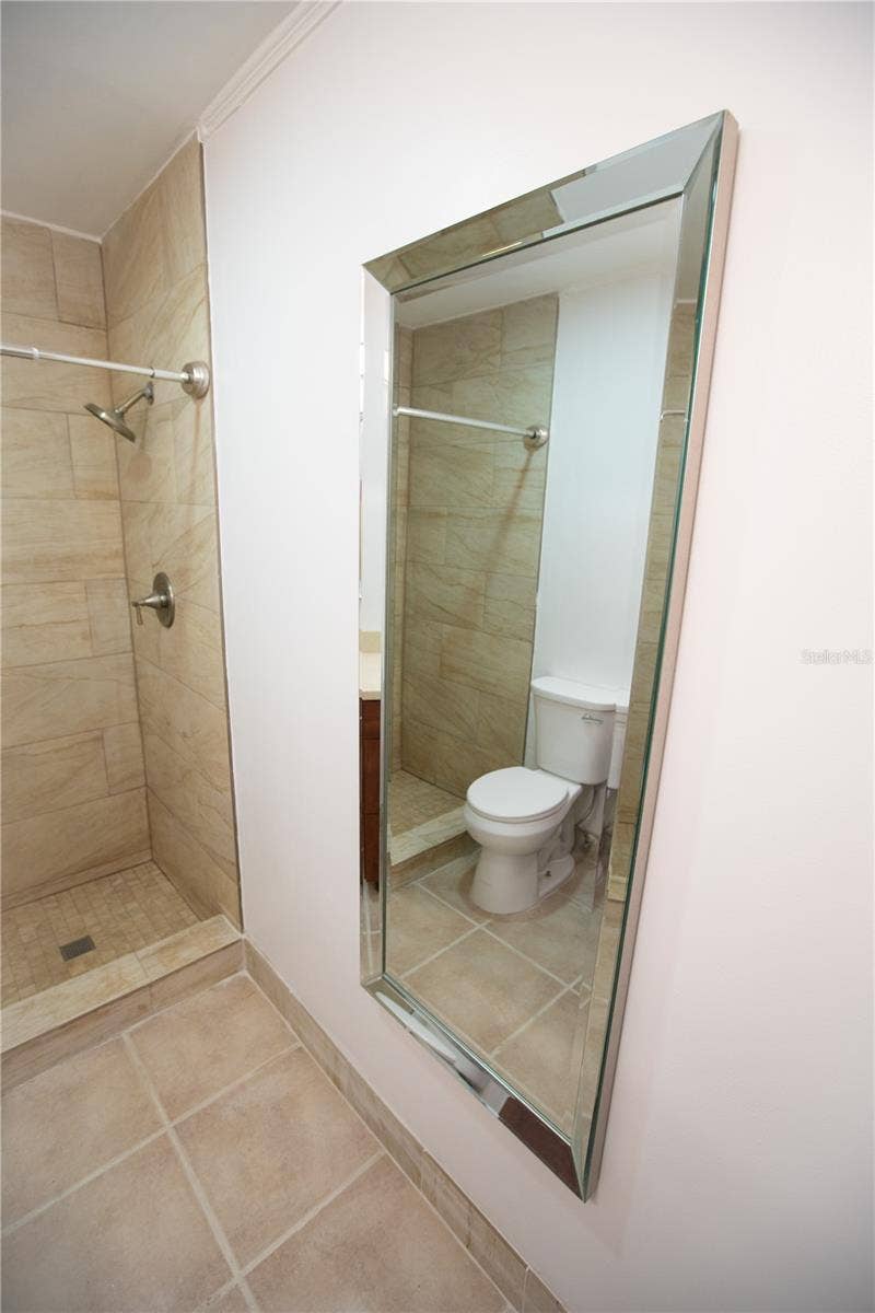 Master Bathroom Mirror
