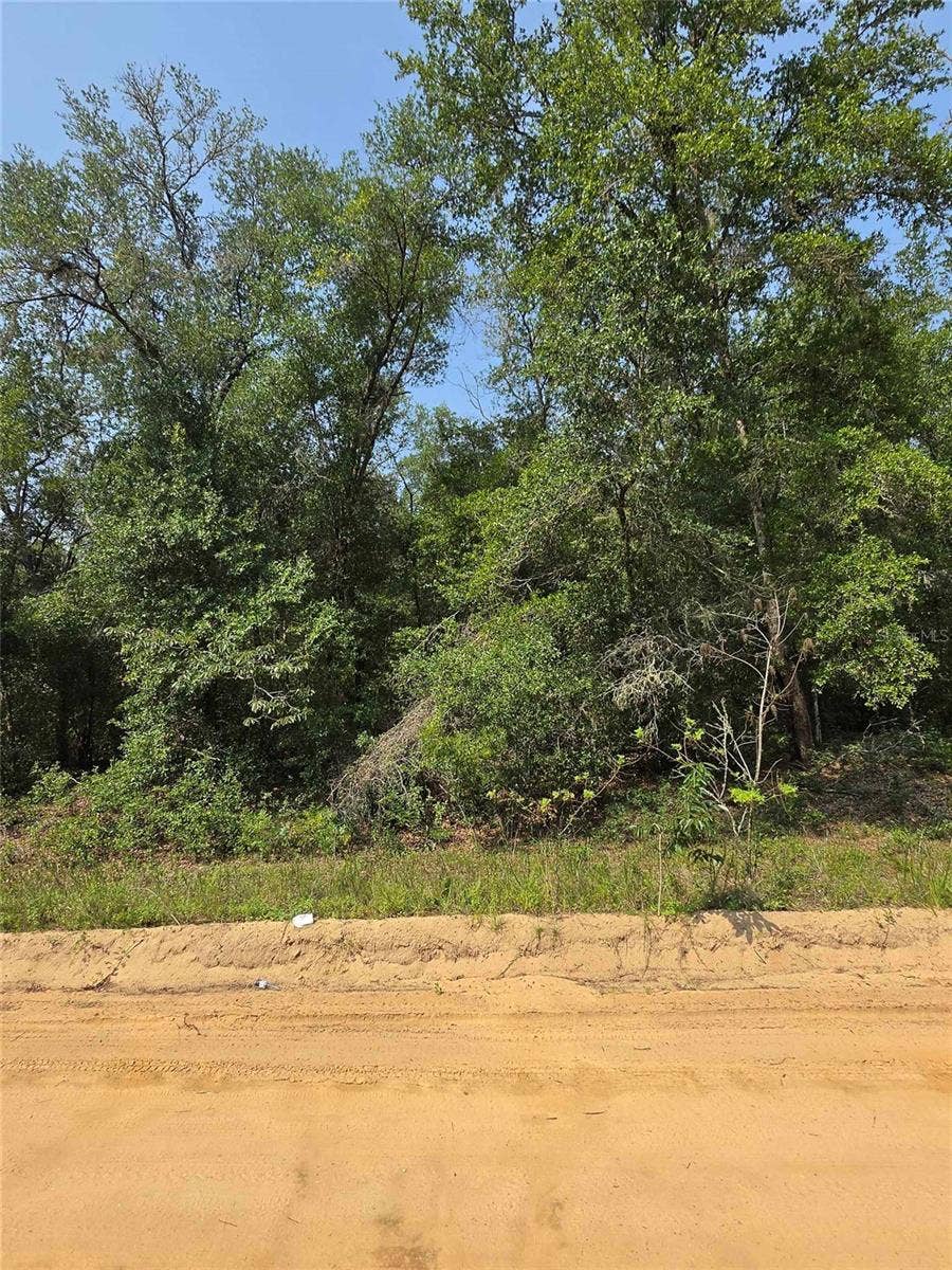 Property photo for 0 SHERMAN DRIVE CIRCLE, Interlachen, FL