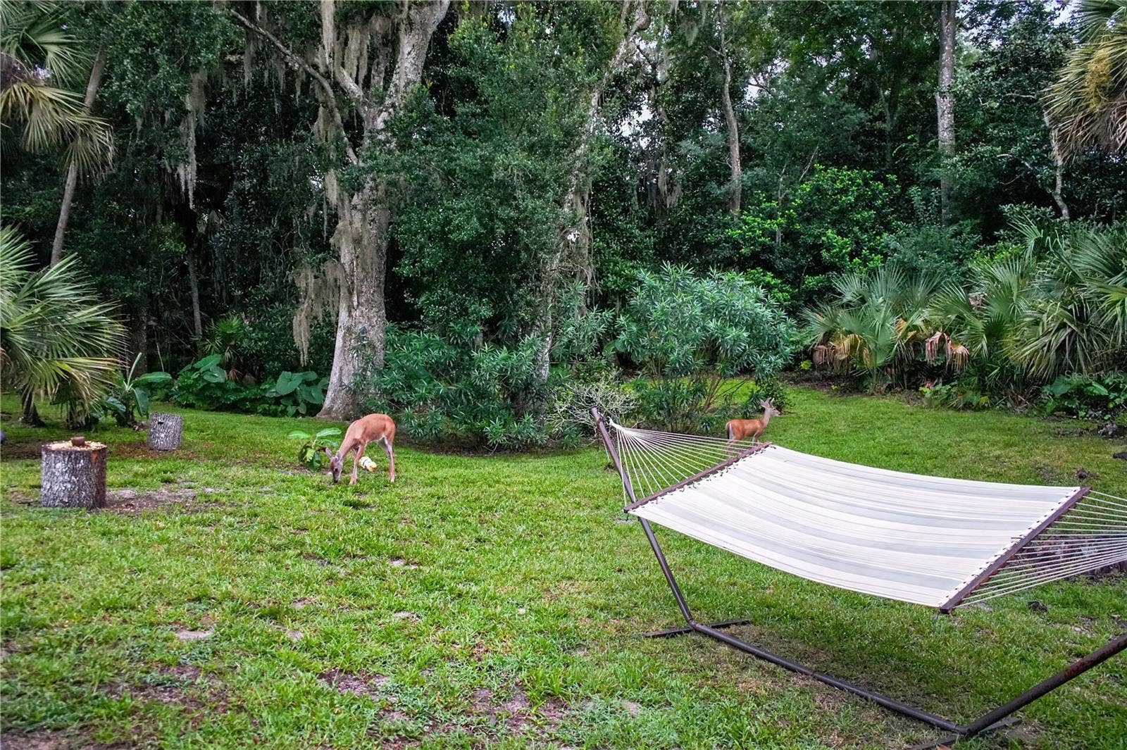 1384 ALEUT LANE, Ormond Beach, FL 32174