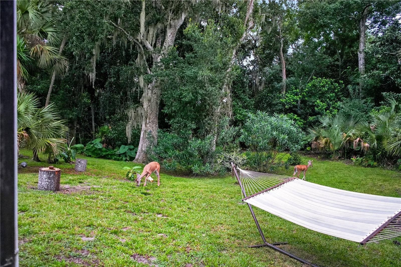 1384 ALEUT LANE, Ormond Beach, FL 32174
